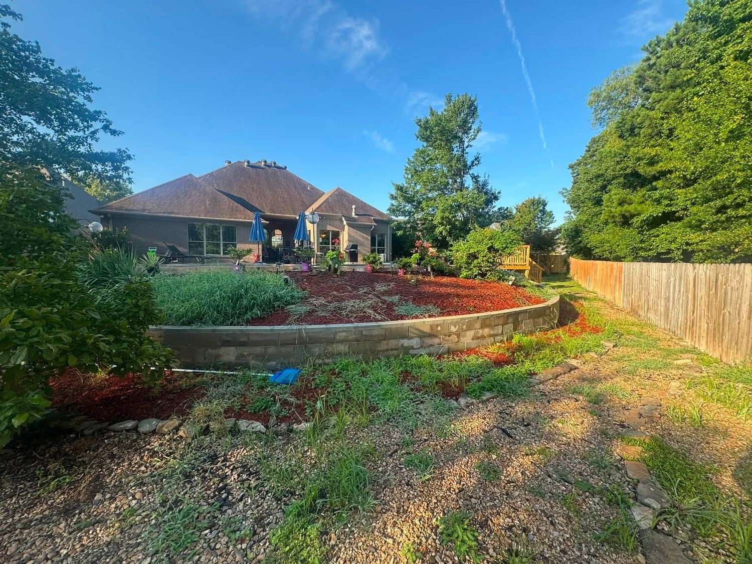 Overgrown backyard slope with weeds covering an old stone wall