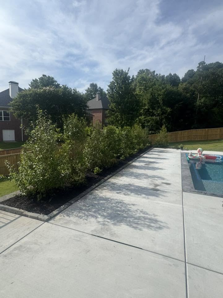 The same strip planted with a row of privacy hedge shrubs