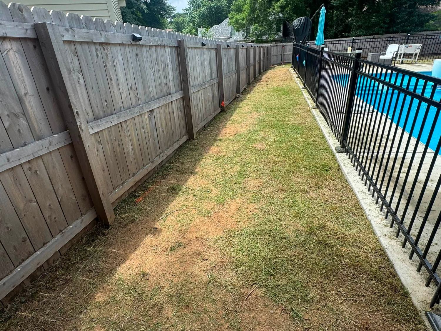 Bare, patchy dirt strip between a wood fence and a pool enclosure